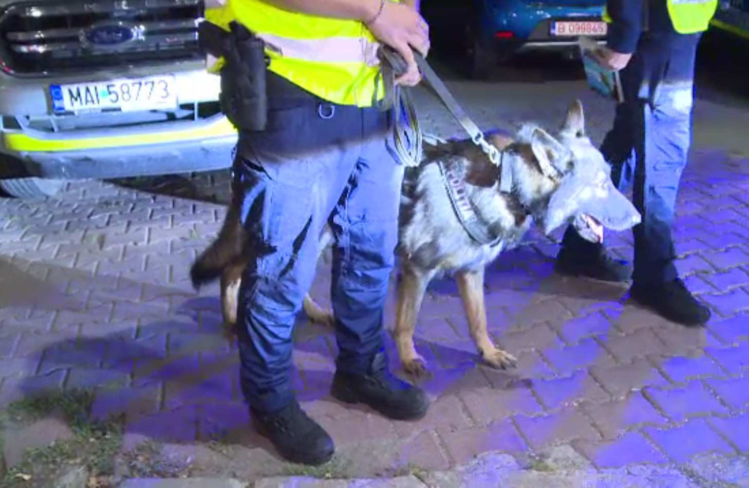 Razie în Ilfov, miercuri seară, cu un câine antidrog. Mașinile au fost „mirosite”