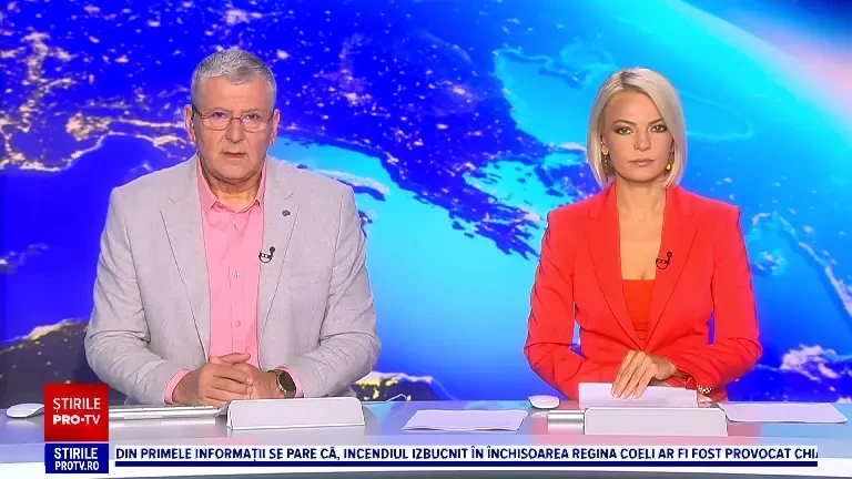 Cultură de canabis, descoperită într-o pădure din Dâmbovița. Cultivatori aveau sisteme de irigație și de supraveghere