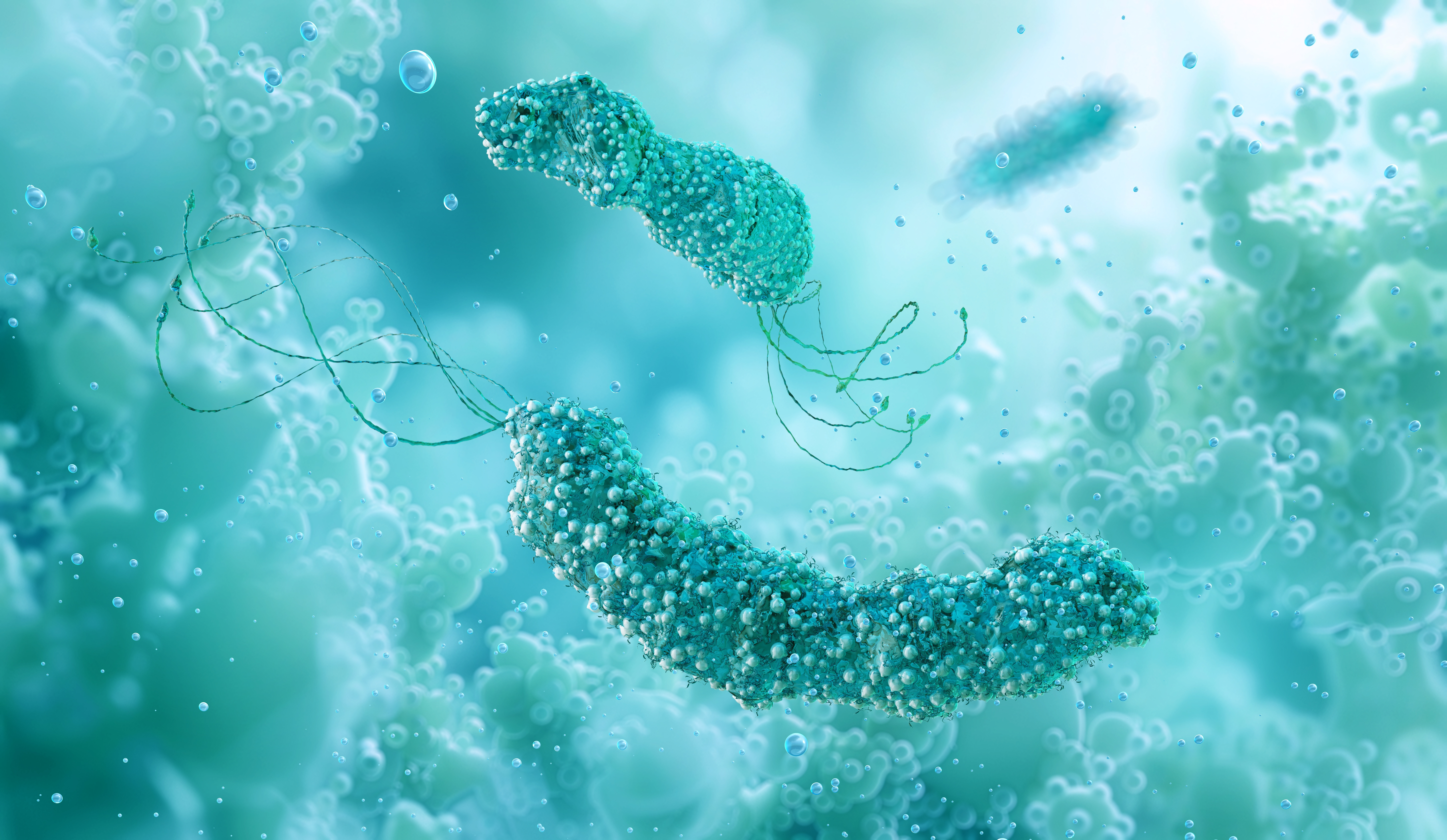 Bacteria comună care provoacă cel mai mare număr de cazuri de cancer. Care sunt simptomele infecției