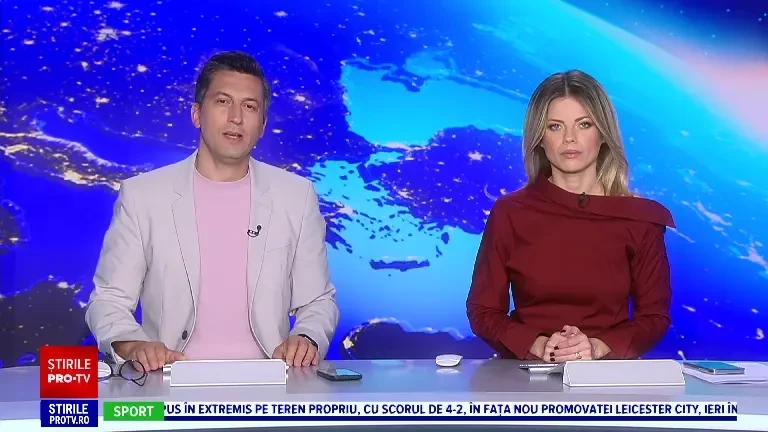 Expoziție de feline la Iași. Cât costă un pui de pisică din părinți campioni