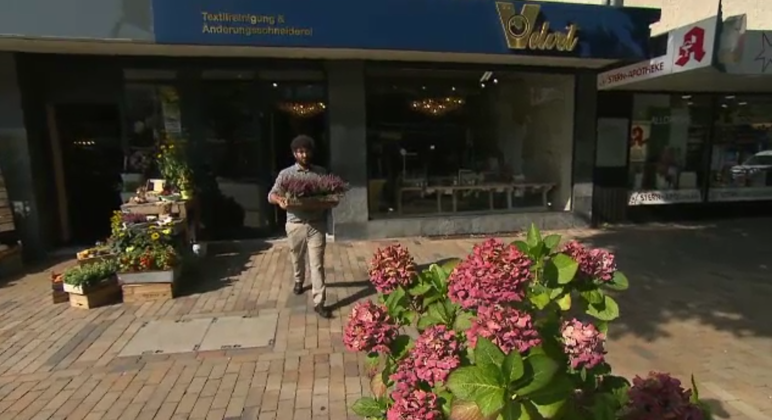 După ce i s-au furat zeci de plante, un om de afaceri a apelat la o metodă ingenioasă pentru a prinde hoții