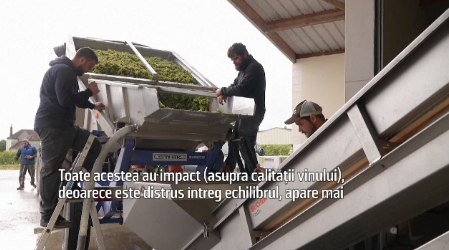 Situație nemaiîntâlnită în ultimele decenii în Franța. Ploile și grindina au distrus mare parte din producția de struguri