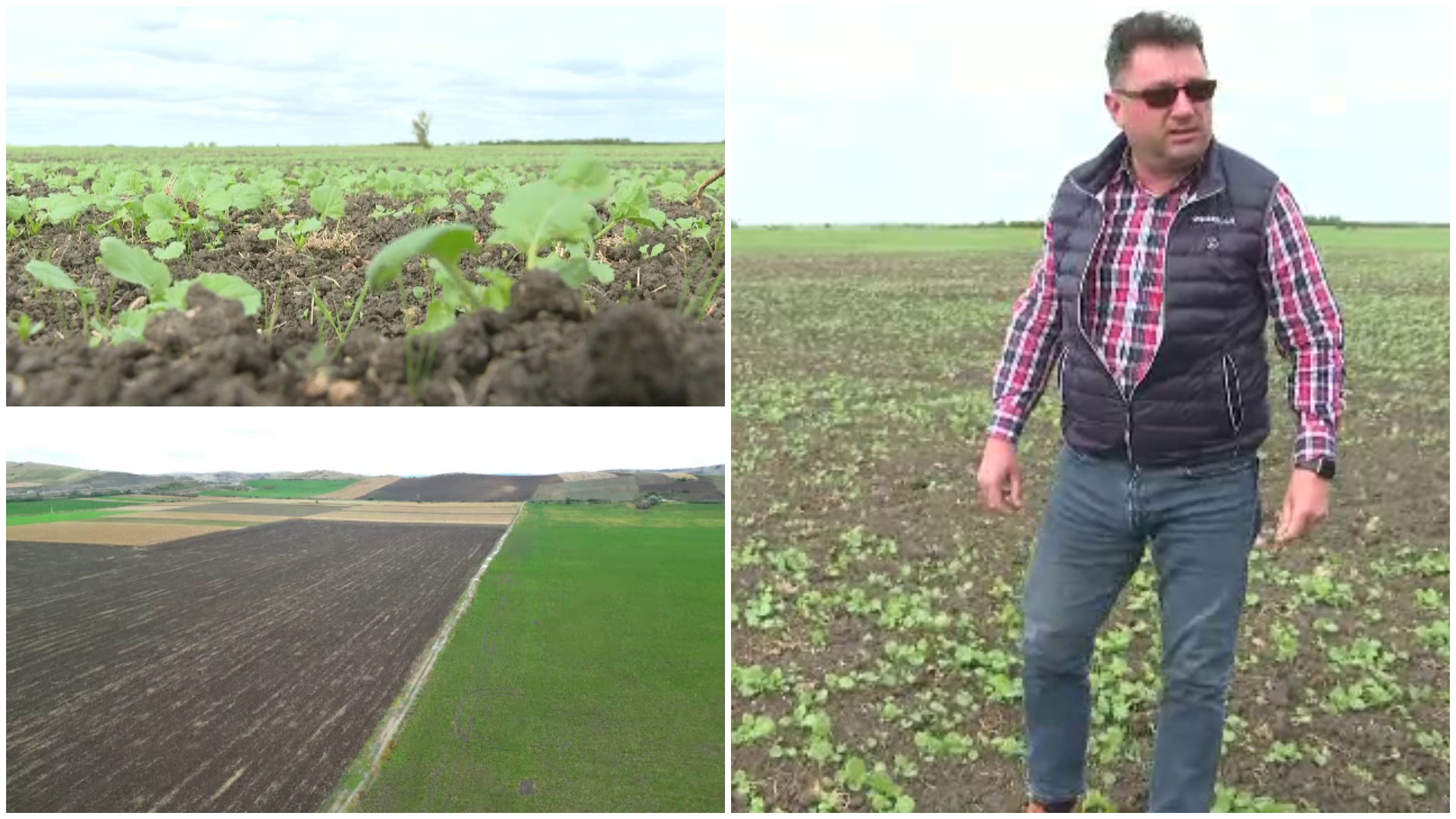 Românii care s-au bucurat de ploile din ultima perioadă. În ultimele 10 zile, au căzut 85 de litri de apă pe metrul pătrat