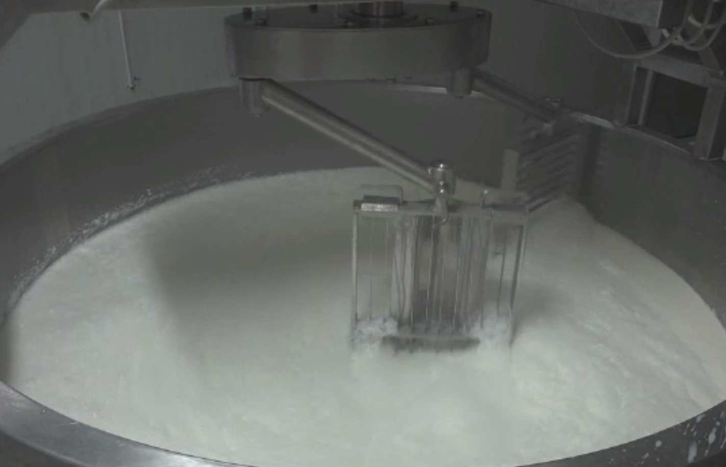 Zerul – resursa ignorată din industria lactatelor. Fără capacități de procesare, România pierde bani și oportunități