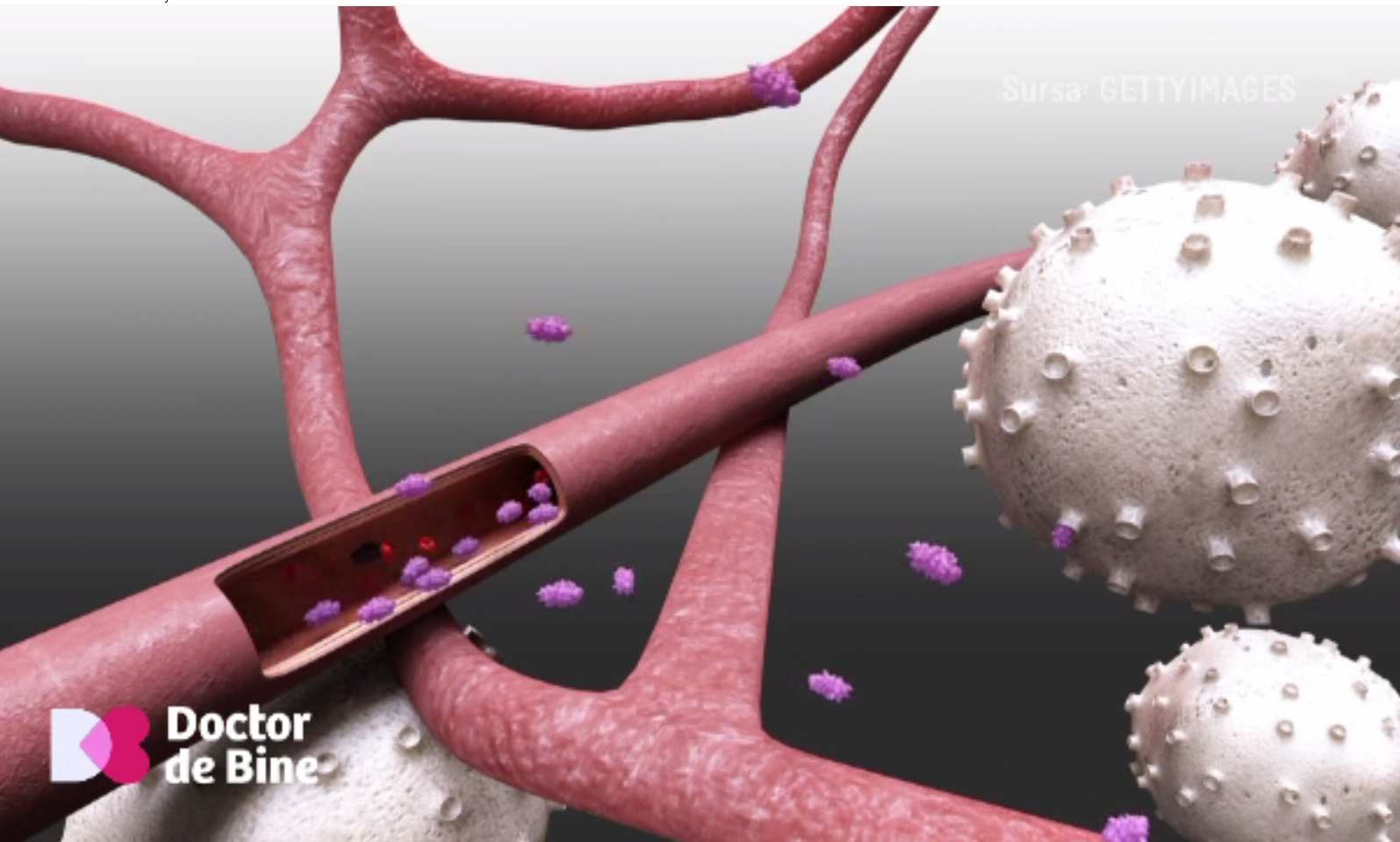 Ce s-a întâmplat cu un copil care mânca o pungă de chipsuri zilnic. Mecanismul prin care cei mici scapă de colesterolul „rău”