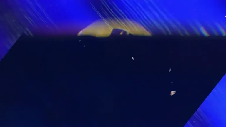 Blon Z ep.3 Generația Z invadează festivalurile de muzică din România. Sute de mii de tineri, într-un spectacol de ritmuri și energie