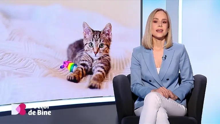 Ce s-a întâmplat cu un copil care mânca o pungă de chipsuri zilnic. Mecanismul prin care cei mici scapă de colesterolul „rău”