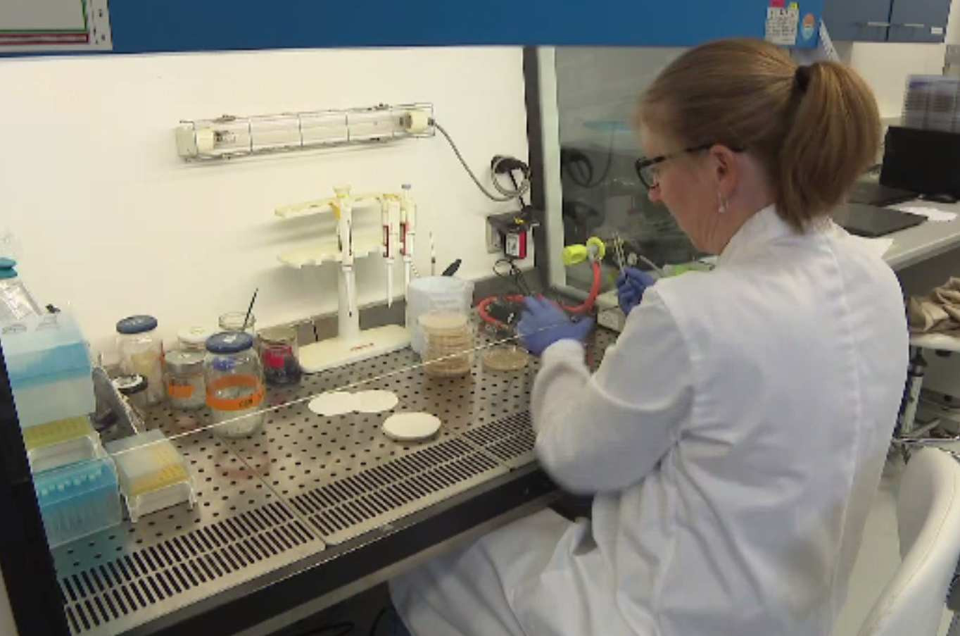 „Antibioticul atomic”, medicamentul minune inventat de profesorii cehi care ucide cea mai rezistentă bacterie. Are și grafen