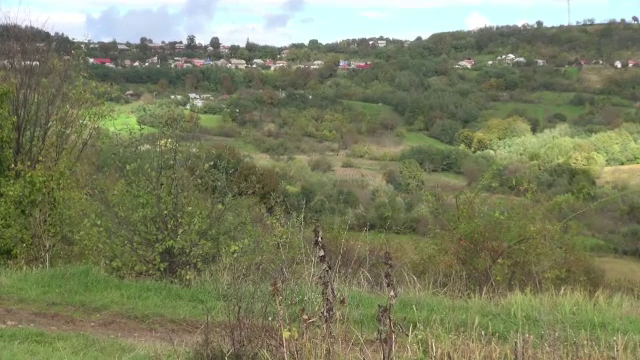 Doi bărbați, salvați de autorități, după ce s-au rătăcit în pădure când căutau ciuperci. „Sunt urşi”