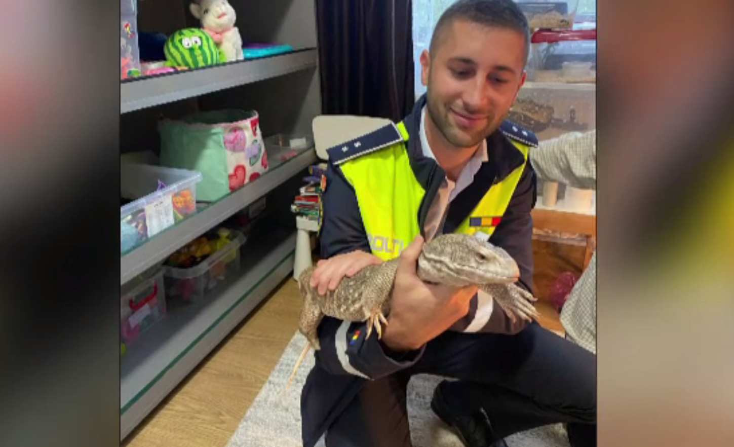 Varani, în curțile unor „oameni înstăriți” din Iași. Garda de Mediu a ridicat mai multe animate exotice