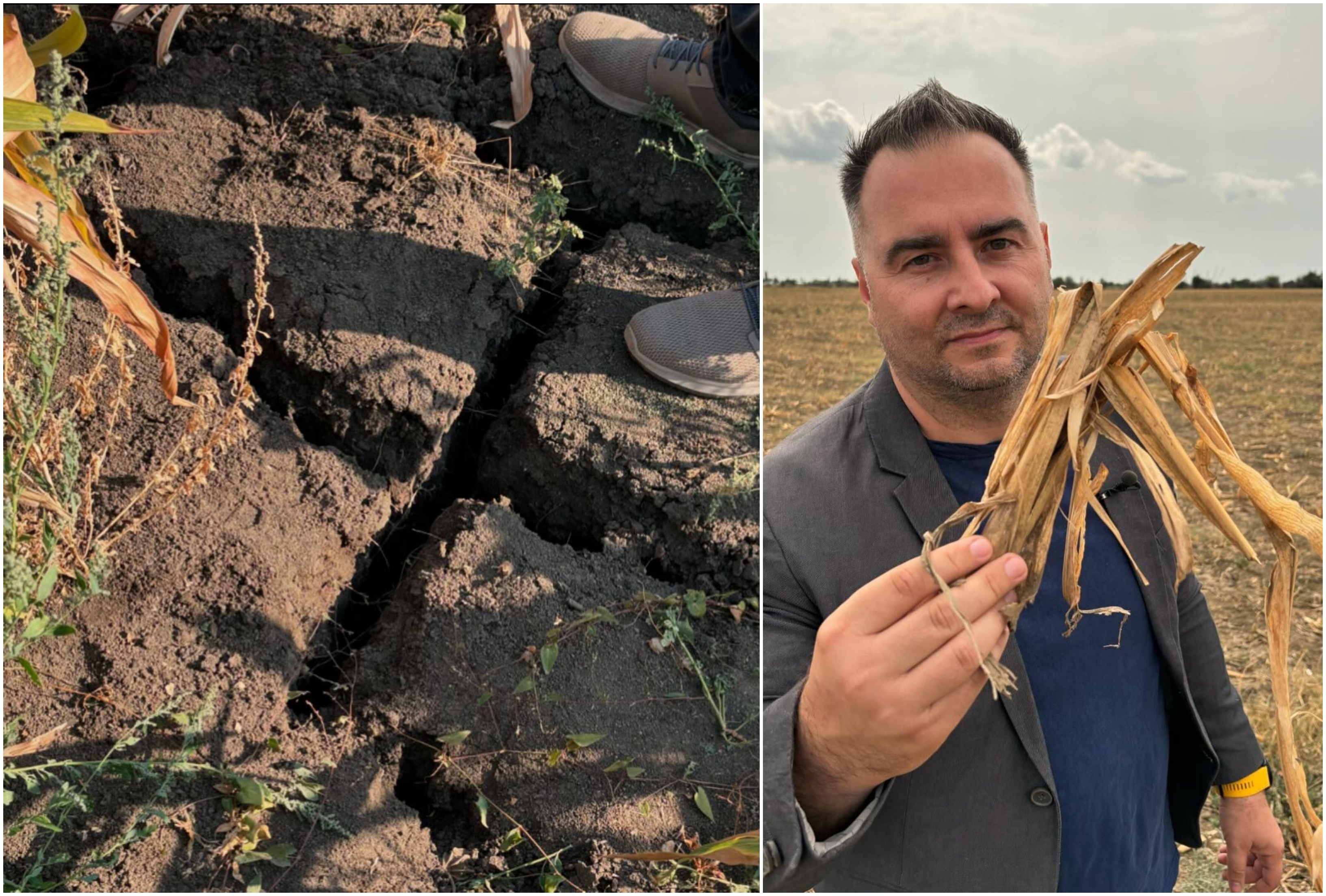 ”România, te iubesc!”. Semnal de alarmă pentru agricultura națională: ”Mergem cu frâna de mână trasă. Nu conștientizăm”