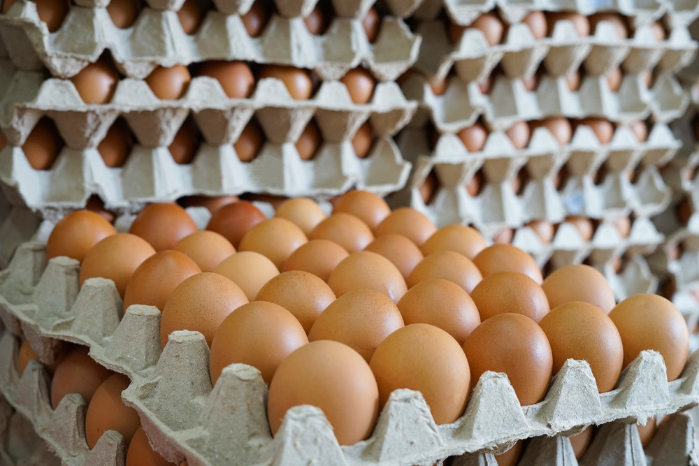 Alertă alimentară. Peste 4.000 de ouă cu Salmonella şi 30 de kilograme de carne, retrase de la comercializare, în Buzău