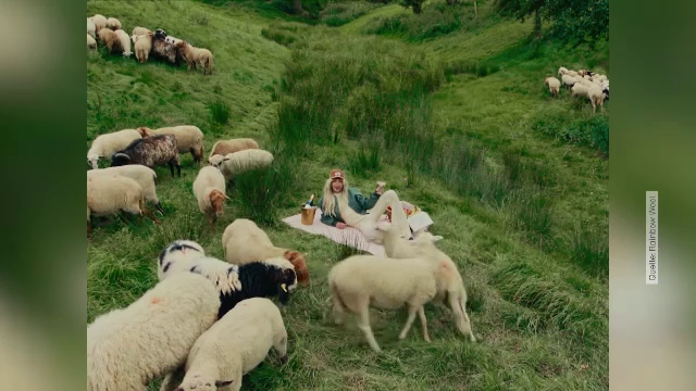 Un cioban din Germania crește 21 de berbeci homosexuali, pentru a-i salva de la moarte