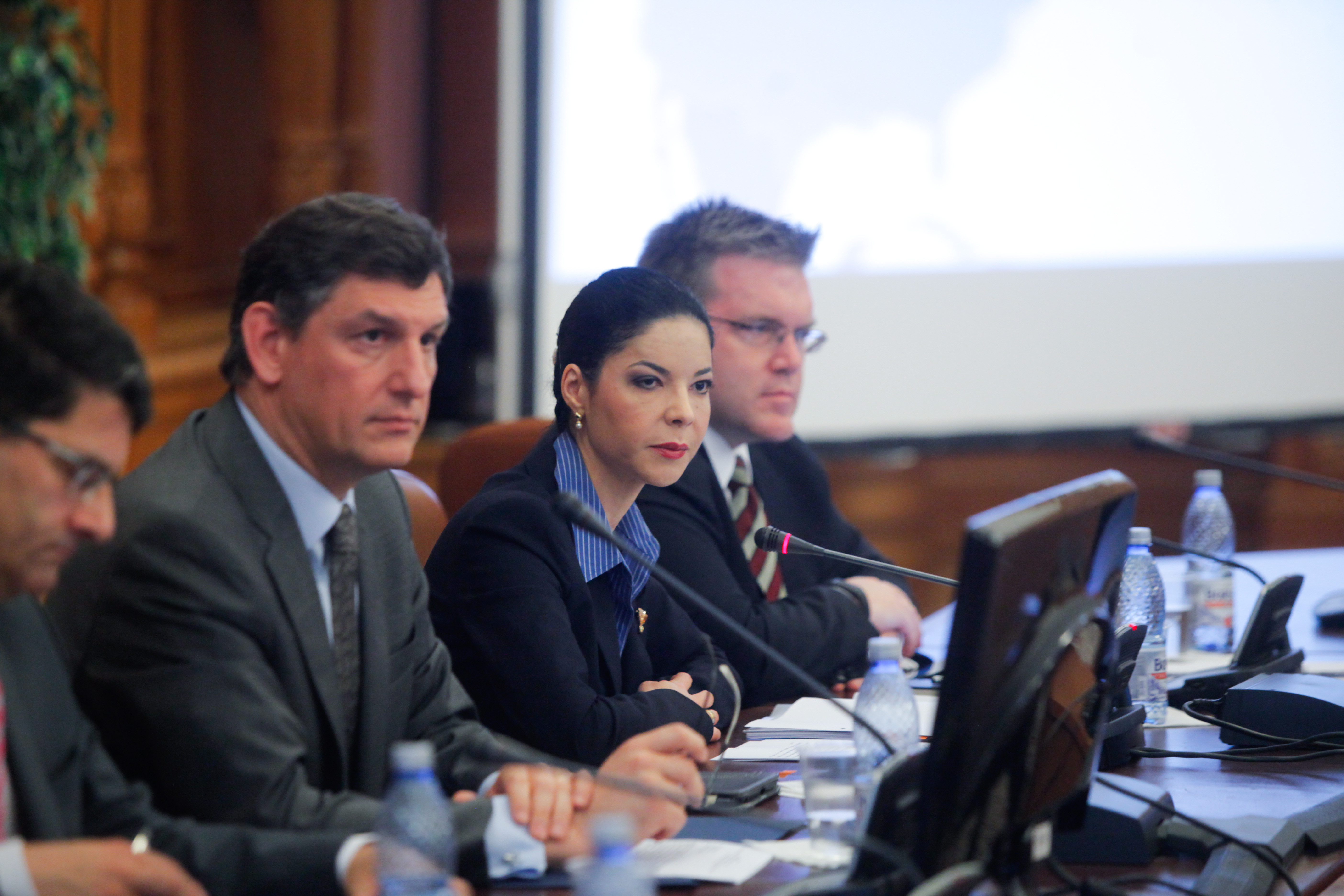 Cine este Ana Birchall, candidată independentă la alegerile prezidențiale 2024