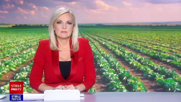 Avem varză mai puțină și mai scumpă în această toamnă. Prețul e chiar și de trei ori mai mare față de anul trecut