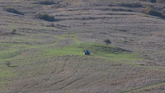 Un vânător a fost atacat de urs pe o pășune din Bistrița. „L-a prins de o mână și de un picior”