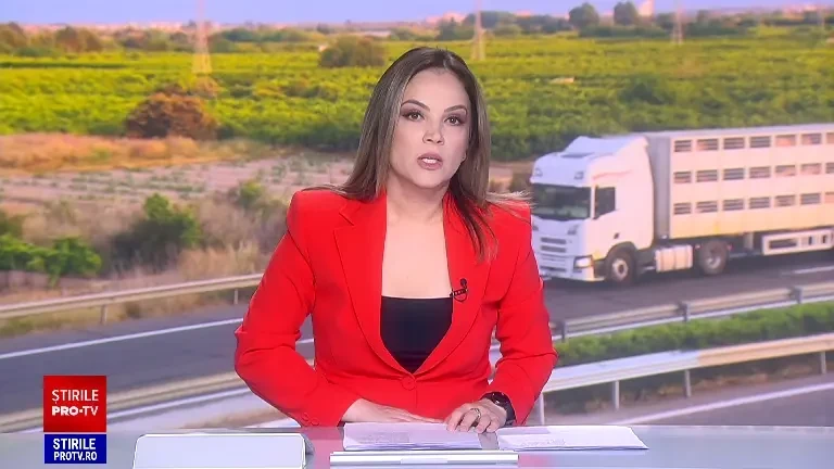 Zeci de vite de la o fermă din Constanța sunt blocate de 5 zile într-un camion, la vama din Turcia spre Bulgaria