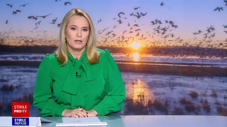 Motivul pentru care unele păsări călătoare de la noi nu mai migrează în țările calde. Descoperirea făcută de ornitologi