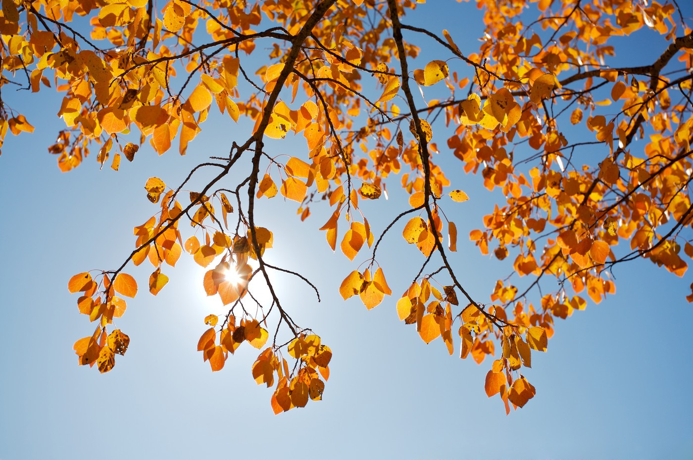 Vremea azi, 22 octombrie. Se face mai decât ar fi normal. Zonele în care vor fi 22 de grade Celsius
