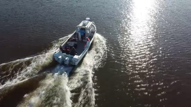 Primele cuști cu stridii, montate de cercetătorii români și italieni în Marea Neagră. În cât timp vom avea stridii românești