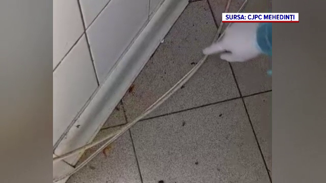 O firmă de catering care hrănește 400 de pacienți dintr-un spital, închisă după un control ANPC. Ce au descoperit