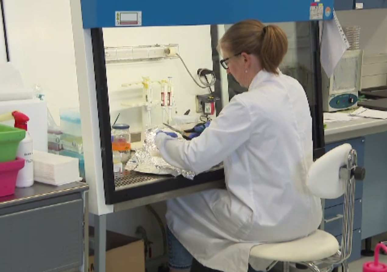 Ce se întâmplă în corpul tău dacă iei antibiotice la o răceală banală. Explicația unui biolog