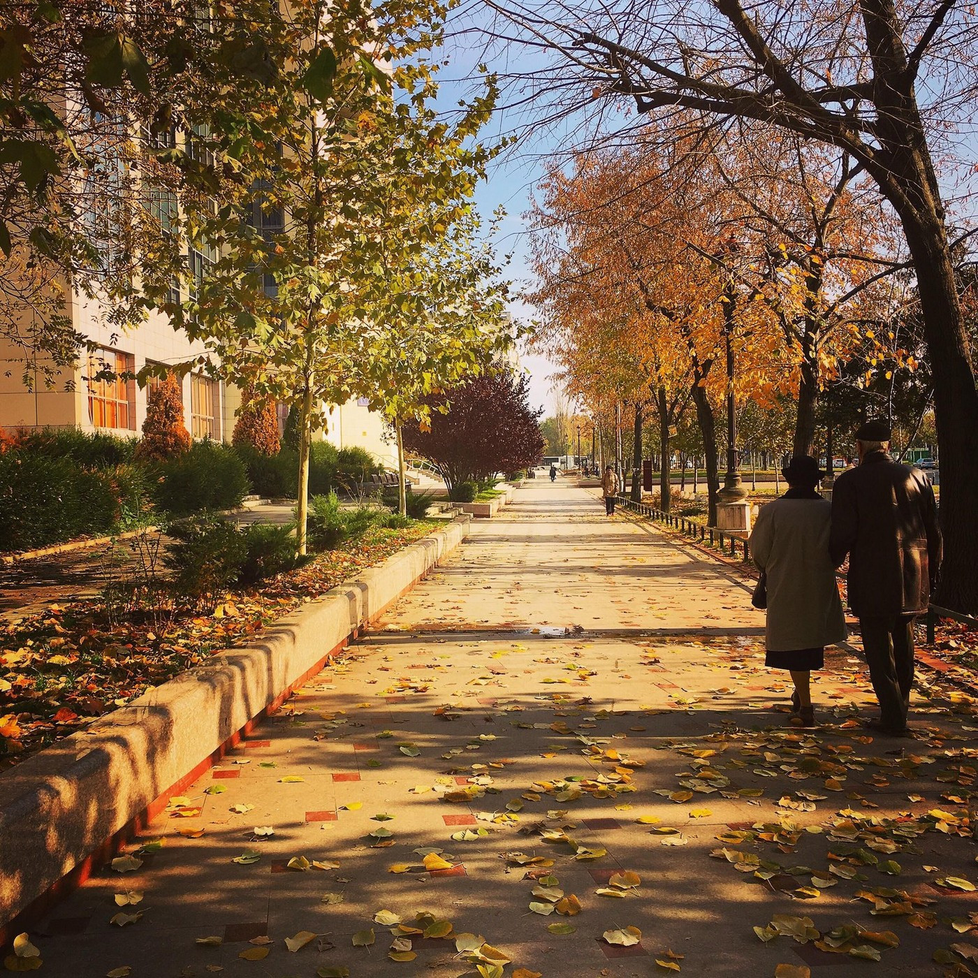 Vremea azi, 1 septembrie. Început frumos de toamnă, dar cu temperaturi de vară în toată țara. Pe unde ar urma să mai și plouă