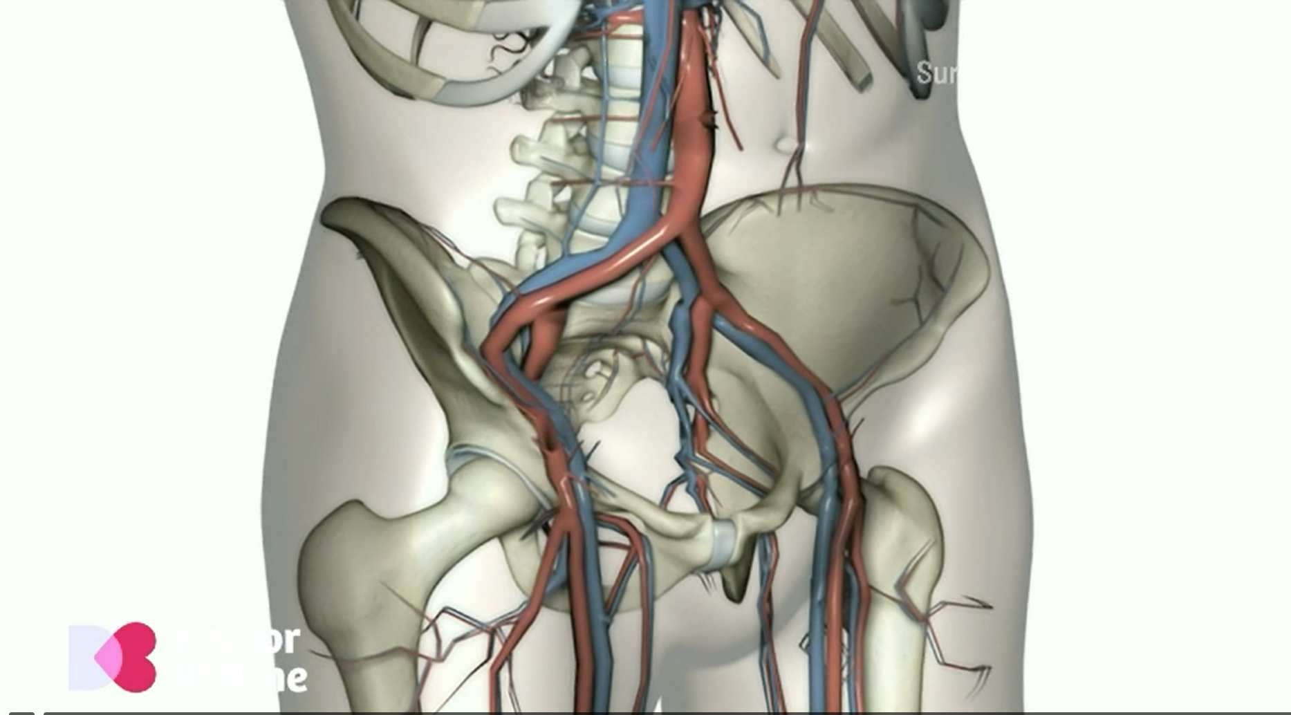 Cum se modifică sistemul venos al mamei în cele nouă luni de sarcină. Uneori, nu revine la forma inițială