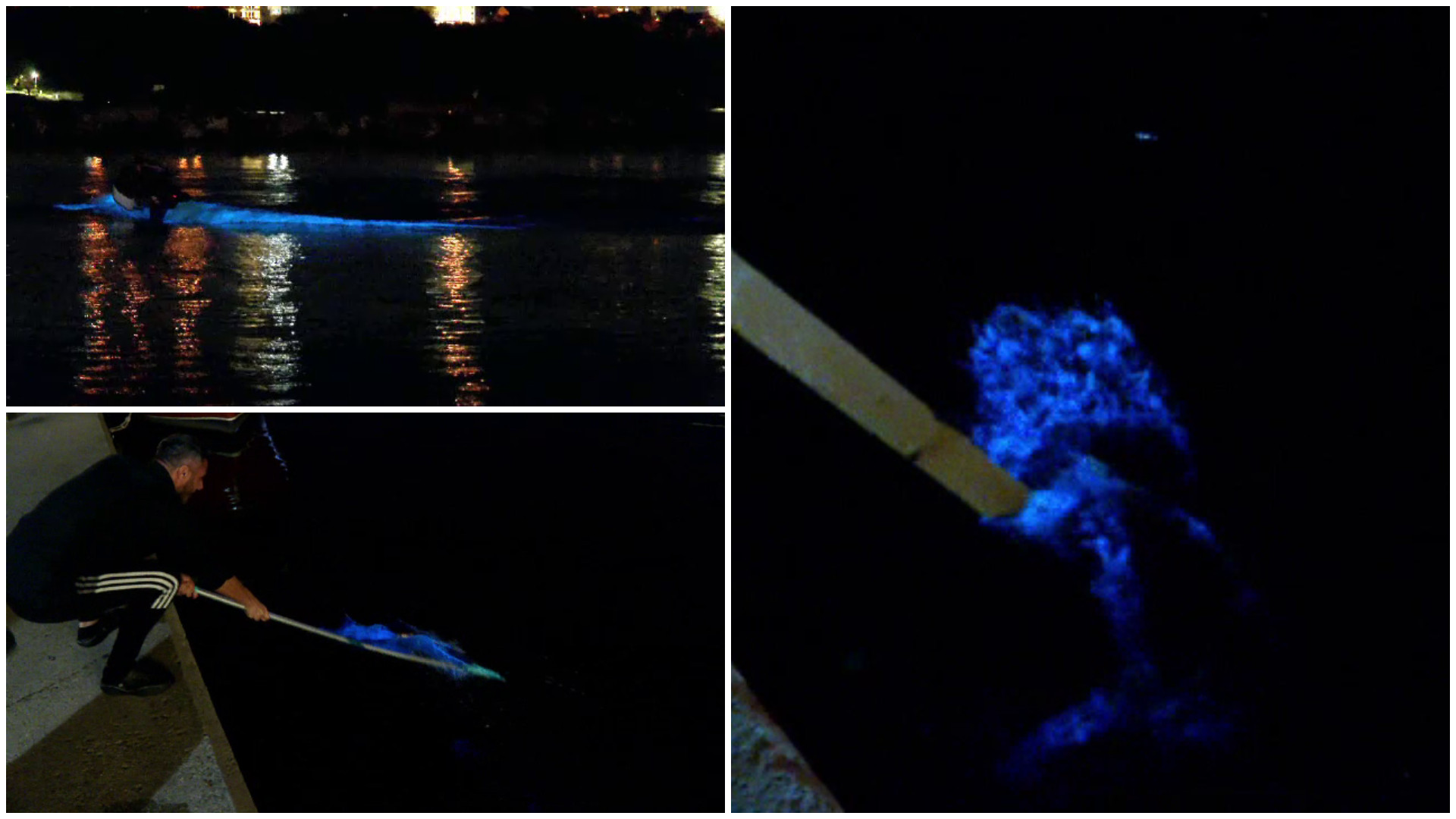 Apă fosforescentă în Marea Neagră. Cum explică cercetătorii fenomenul inedit care atrage curioșii pe litoral