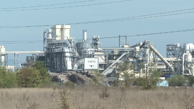 Una dintre cele mai mari firme de prelucrare a lemnului din țară, suspectată că poluează aerul cu substanțe periculoase