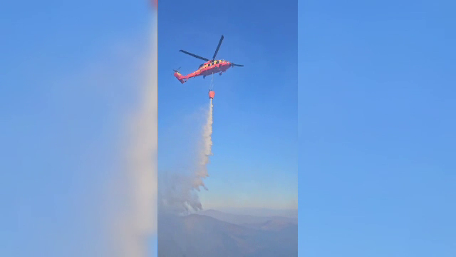 Incendiu de vegetație violent în județul Brașov. Fumul s-a văzut de la kilometri depărtare