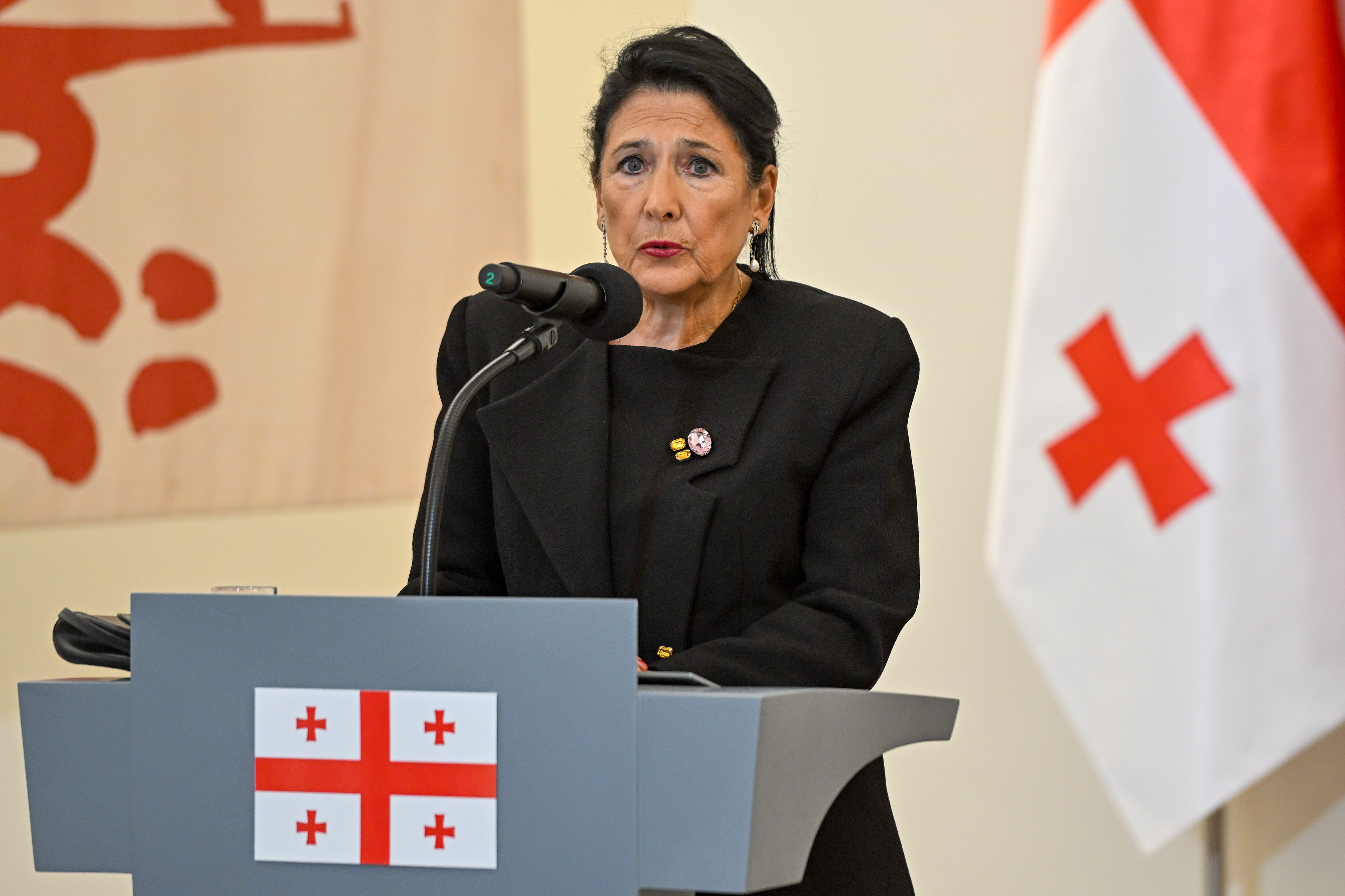 Georgia se afundă în criza politică înainte de alegerea noului preşedinte. „Fără precedent”