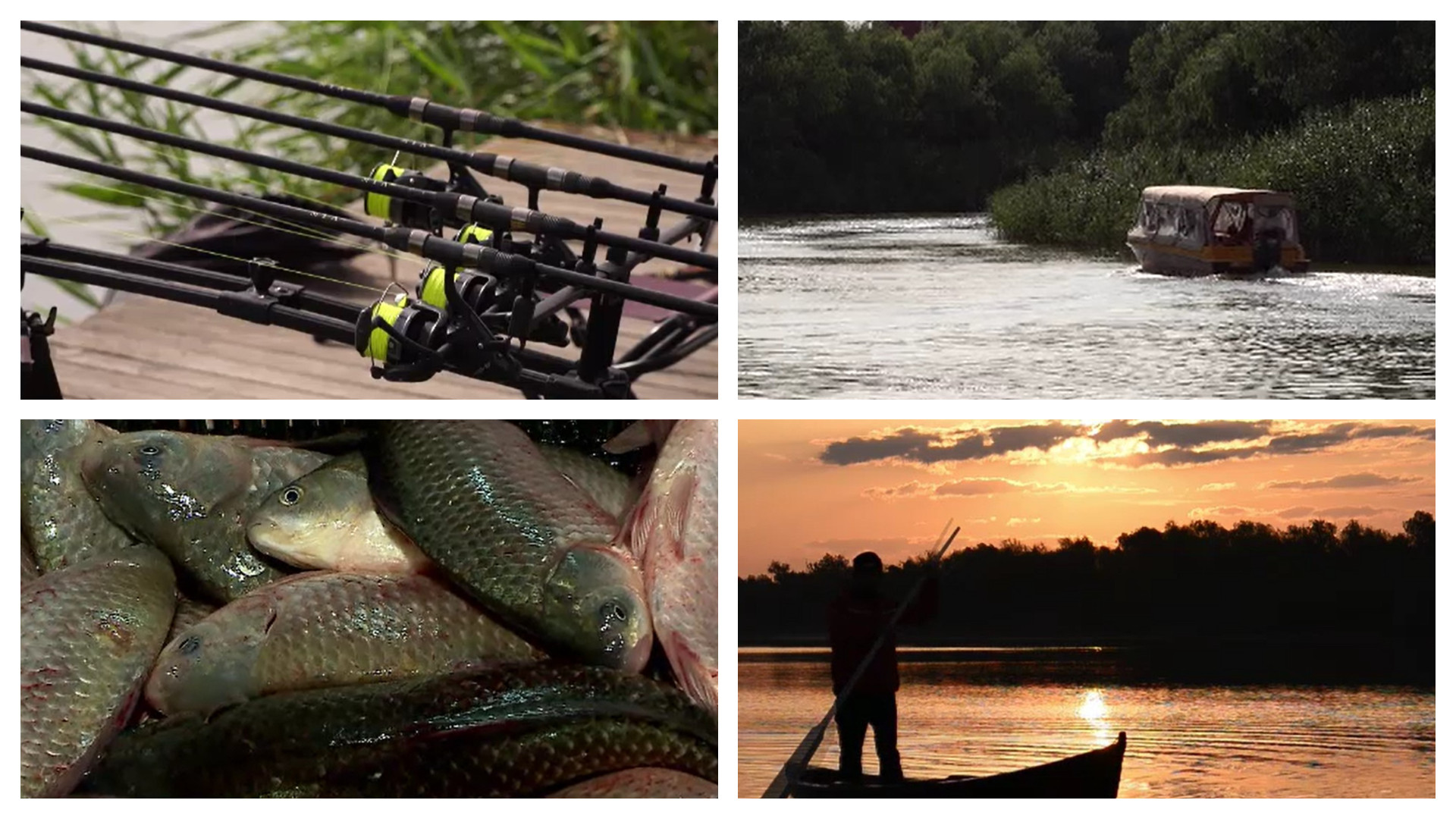 Sejururile la pensiunile din Delta Dunării s-au ieftinit. Cât costă acum o noapte de cazare în "paradisul pescarilor"