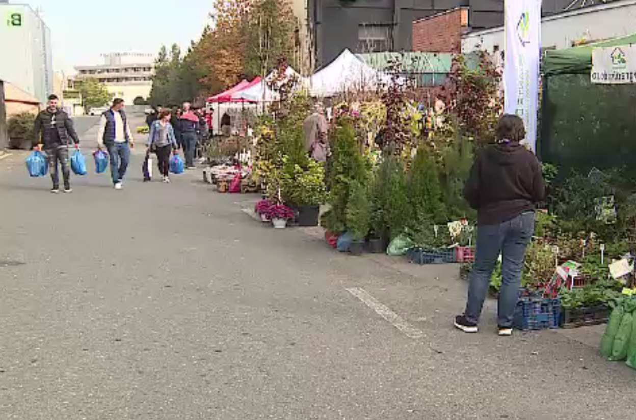 Indagra, cel mai mare târg agricol din România și-a deschis porțile. „Nu ne potolim până nu umplem maşina”