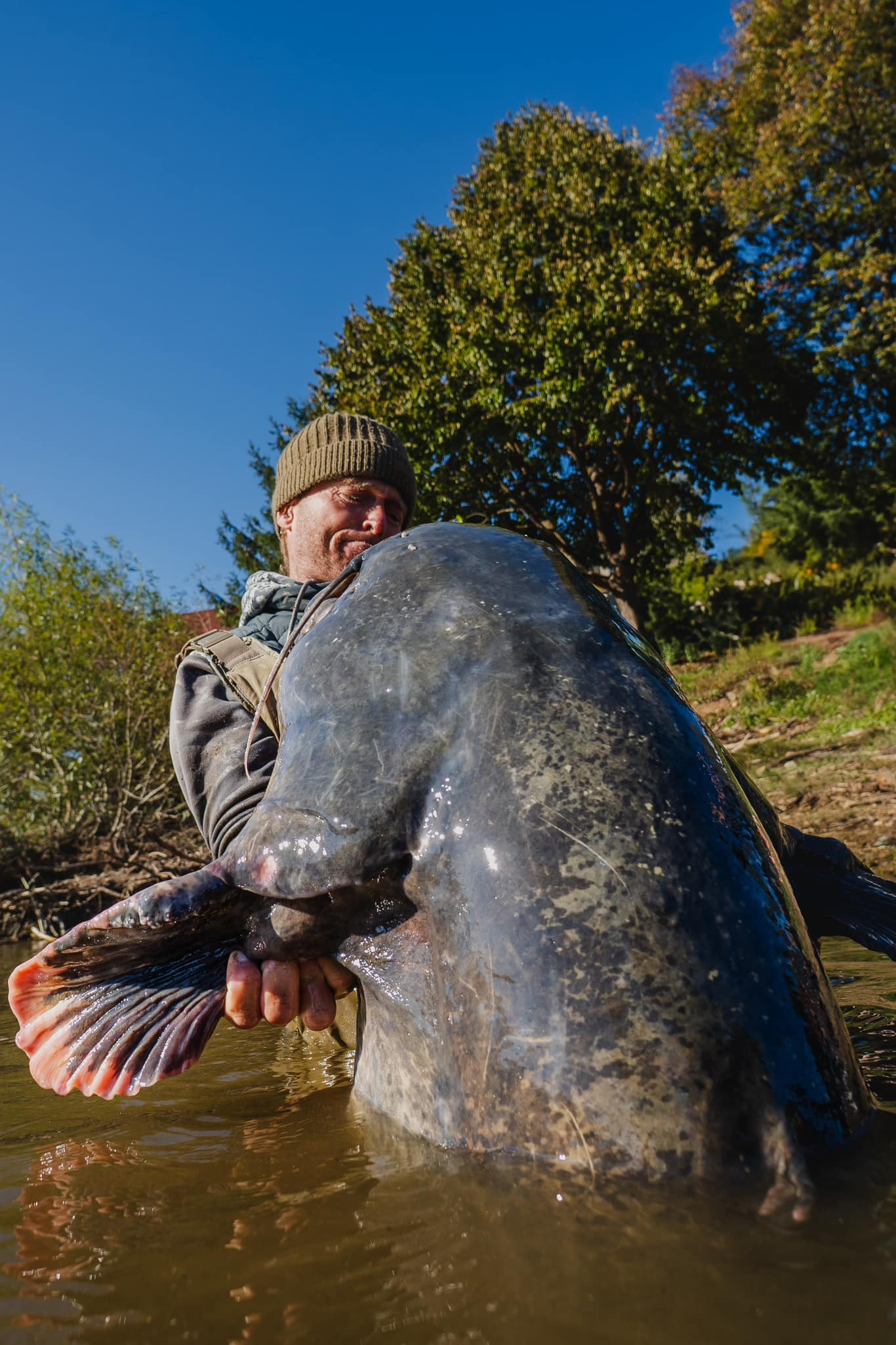 Creatura marină rară, de aproape 3 metri lungime, descoperită de un pescar. „Am crezut că nu am nicio șansă” | FOTO & VIDEO