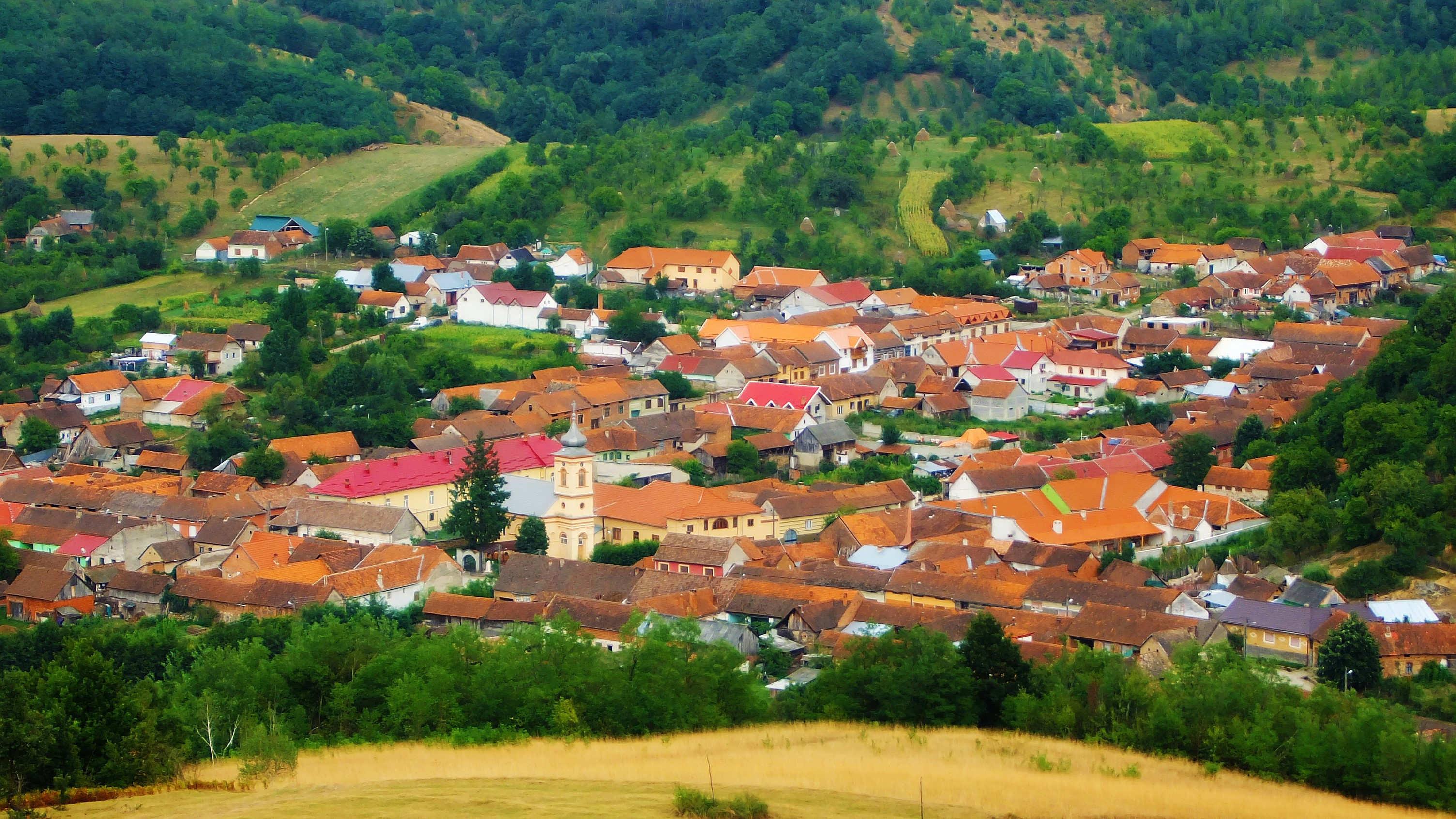 Tranziția verde nu a ajuns încă și la românii din mediul rural. „S-au dat bani doar pentru panouri fotovoltaice”