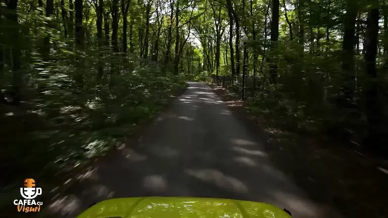 Mihaela Bilic: „N-am crezut vreodată că va fi un subiect inepuizabil. Mâncarea bate tot”