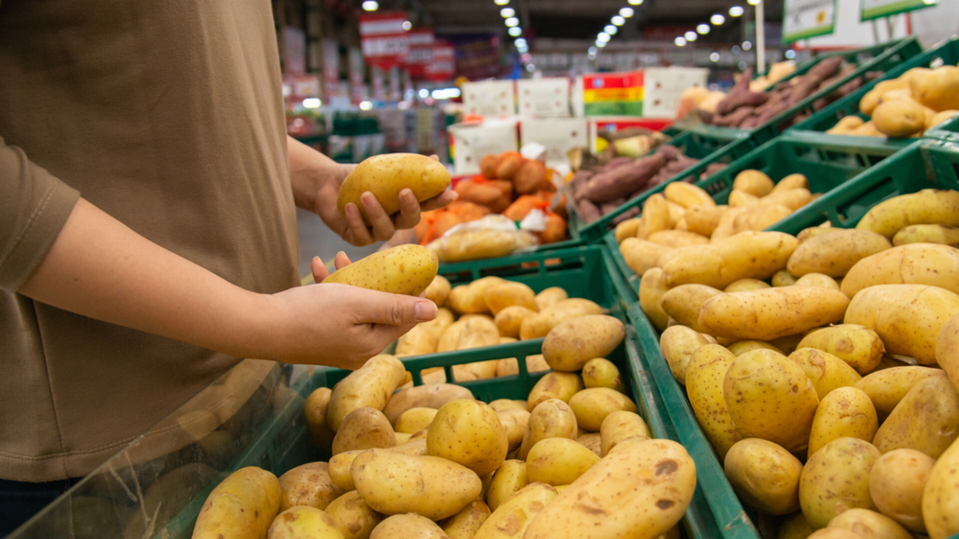 Cartofii care te-ar putea ucide. Semnul care îți arată că nu trebuie să îi mănânci