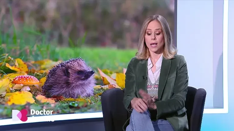 De ce trebuie cei mici lăsați să se murdărească și să pună mâinile în gură. Cum pot scăpa de alergii. Sfatul medicului