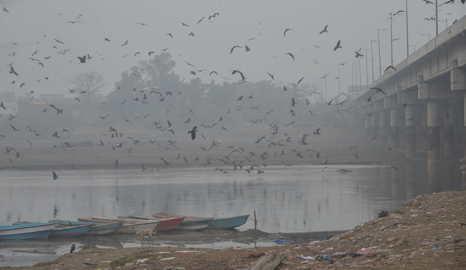 Nouă milioane de oameni se sufocă cu smog toxic în cel mai poluat oraș de pe Pământ. Este pentru prima dată când se întâmplă