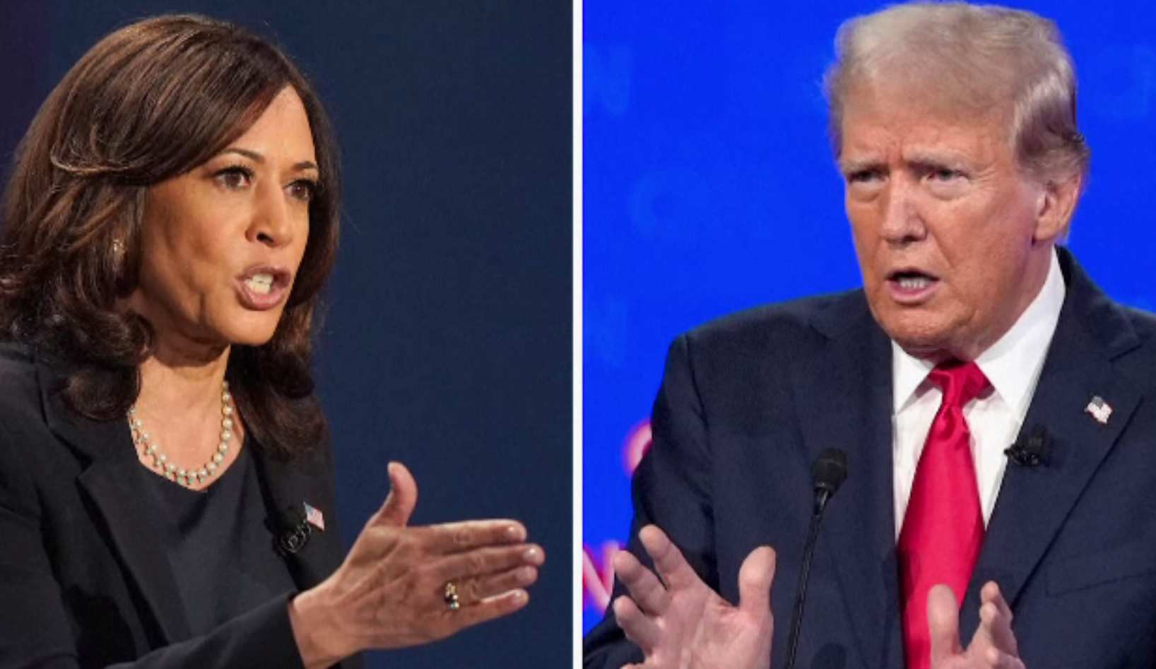 Român din SUA, despre bătălia electorală: „diviziune socială extraordinară, a ajuns să fie demonizată cealaltă parte”