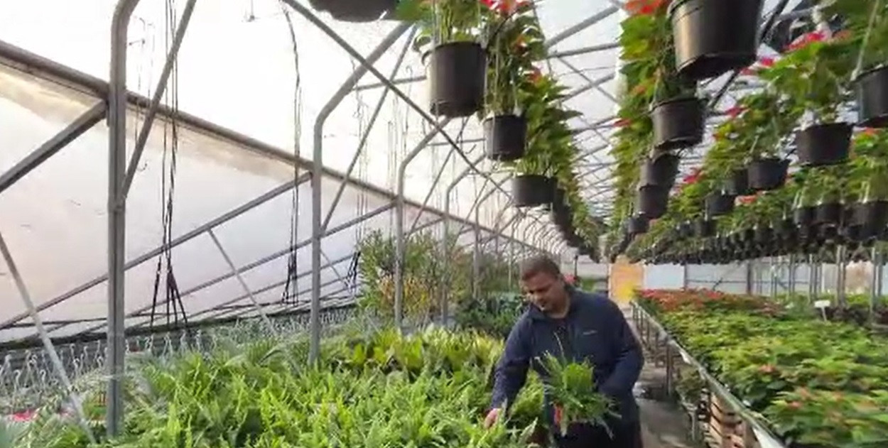 Fenomen neașteptat în mediul rural din România. Acest lucru era o raritate în anii '90. "Ne-am dezvoltat continuu"