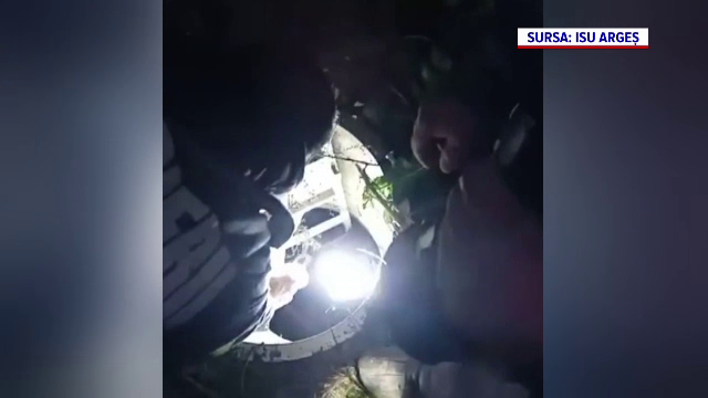 Un câine căzut într-o fosă septică de trei metri adâncime a fost salvat de pompieri, în Argeș