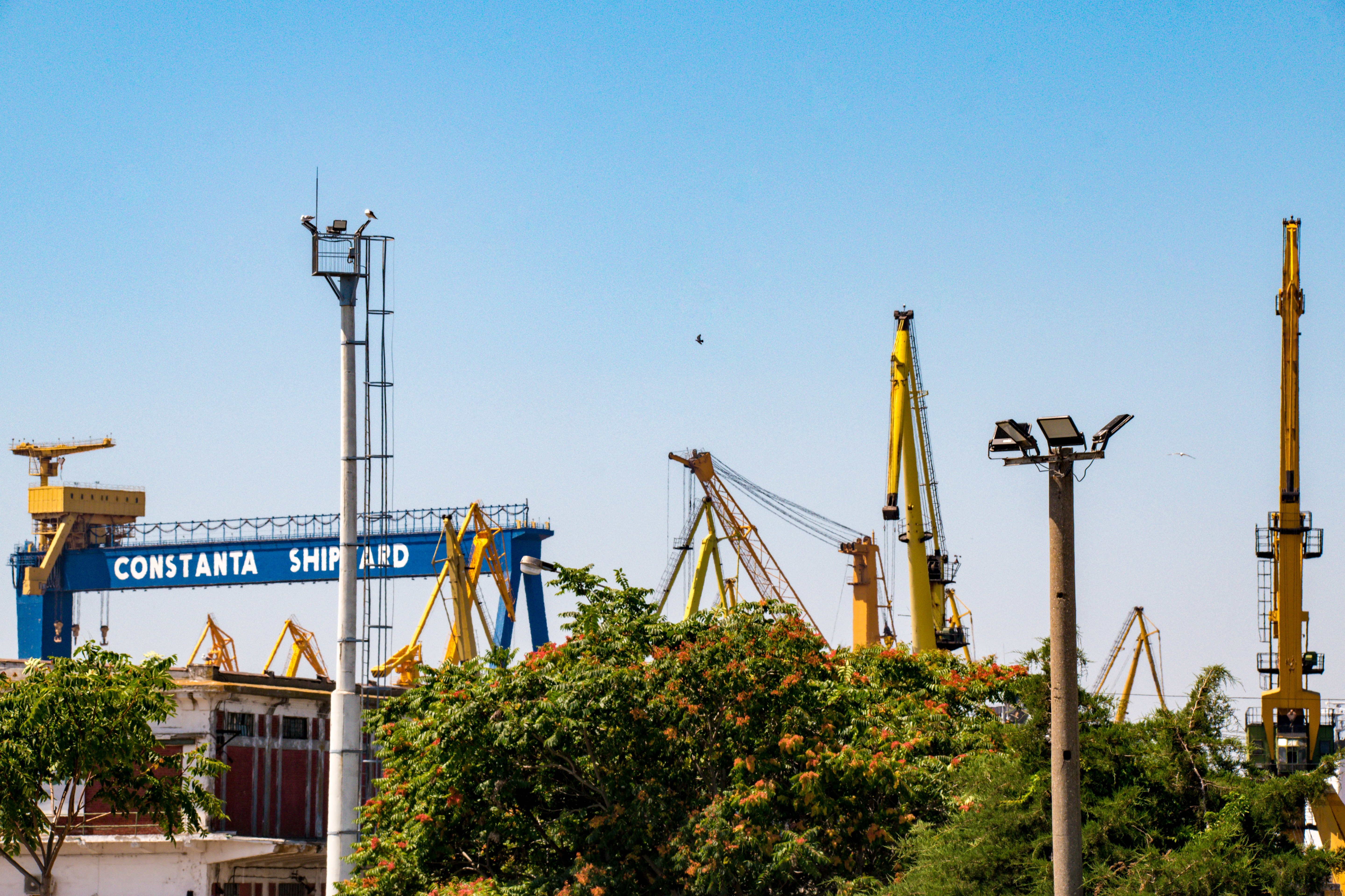 Captură în Portul Constanţa. Maşini de lux furate din Suedia, găsite înainte să ajungă în Turcia și Belarus