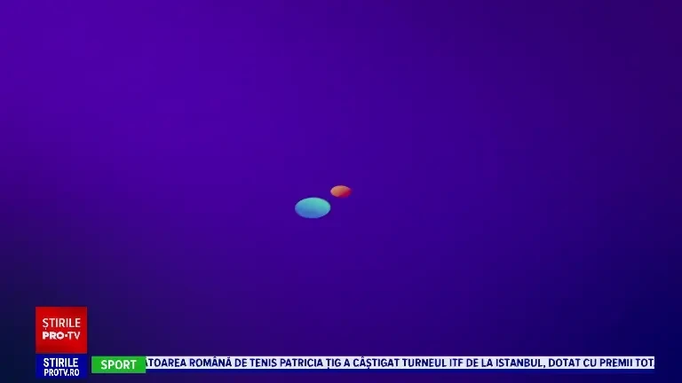 Algoritmul care stabilește cea mai potrivită hrană pentru câini. Ce este Drooler