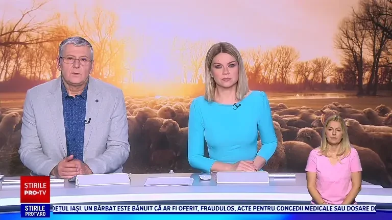 Cine este Dumitru Andreșoi - supranumit „Regele Oilor”. Fermierul este acuzat de o fraudă de peste 2 milioane de euro