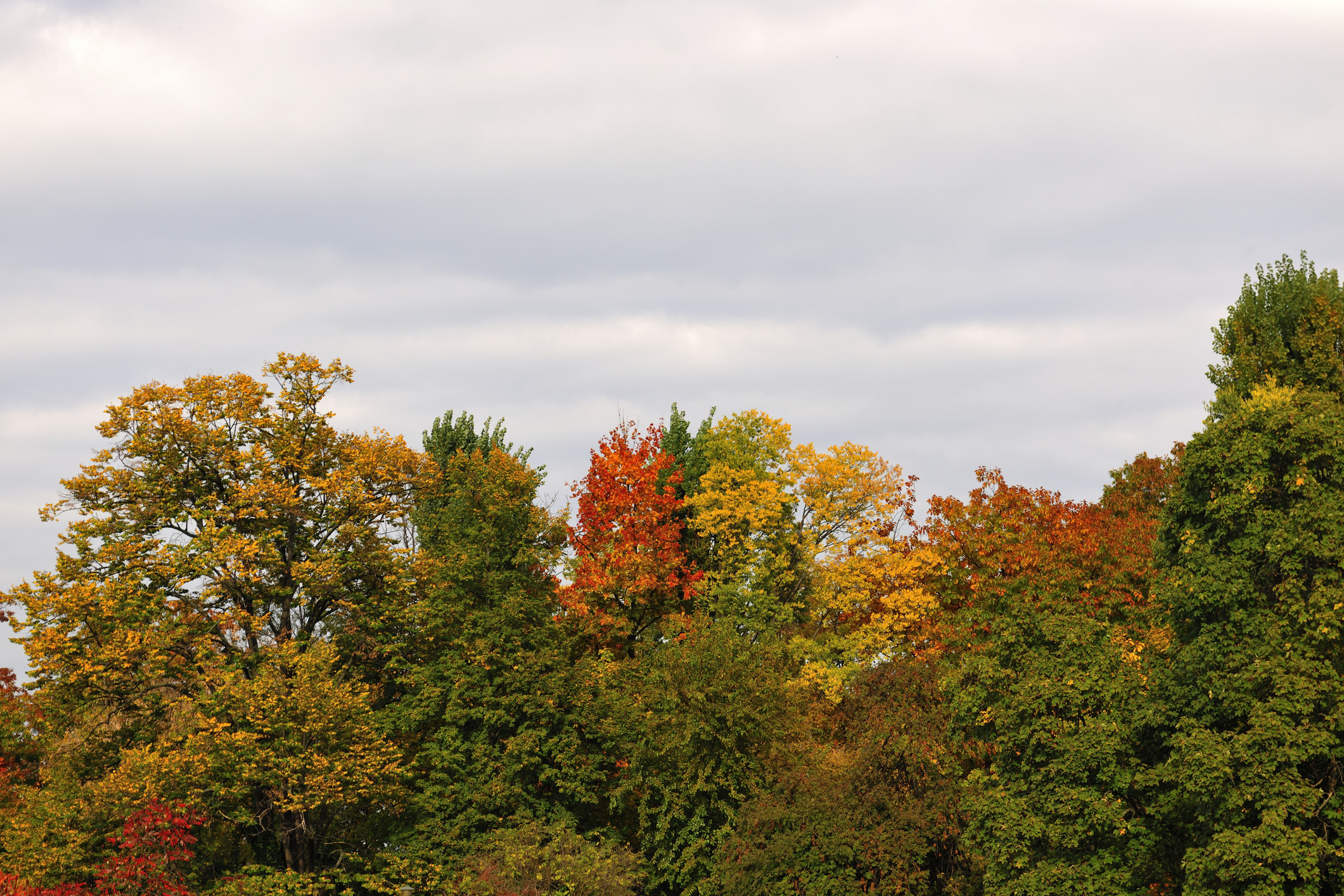 Vremea azi, 5 noiembrie. Zonele din România în care temperaturile scad. Maximele termice