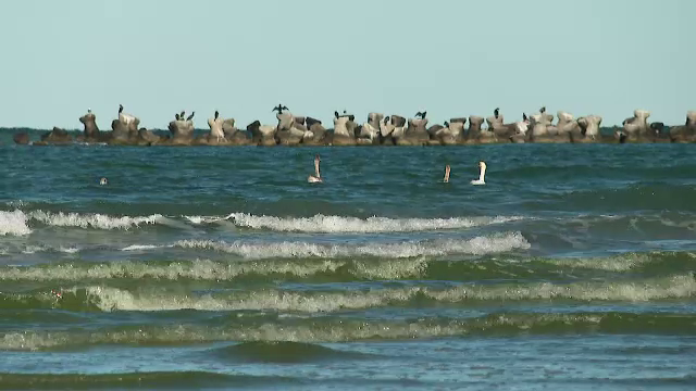 Furtunile care pot provoca daune mari pe litoralul românesc vor putea fi anticipate mai devreme cu ajutorul unor noi balize