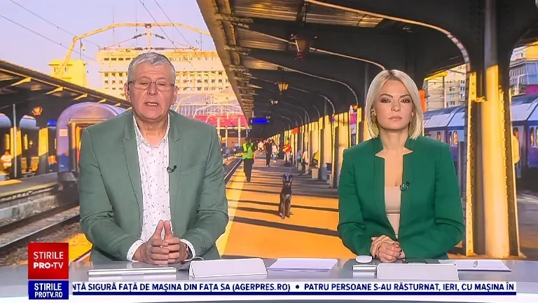 Sute de oameni din București și-au unit eforturile ca să o găsească pe Lilu, o cățelușă de nici doi ani, pierdută de familie în Gara de Nord