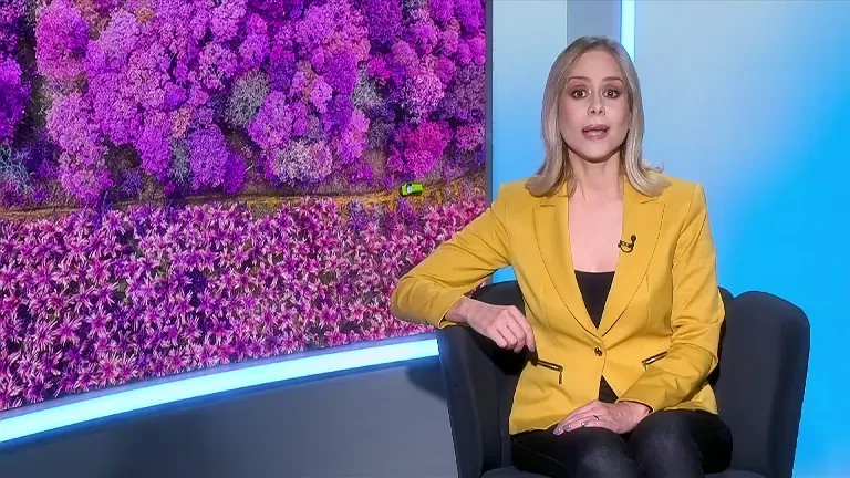 Grăsimile din sânge nu sunt rele decât atunci când sunt lăsate să se înmulțească. Ce să mâncăm pentru a repara situația